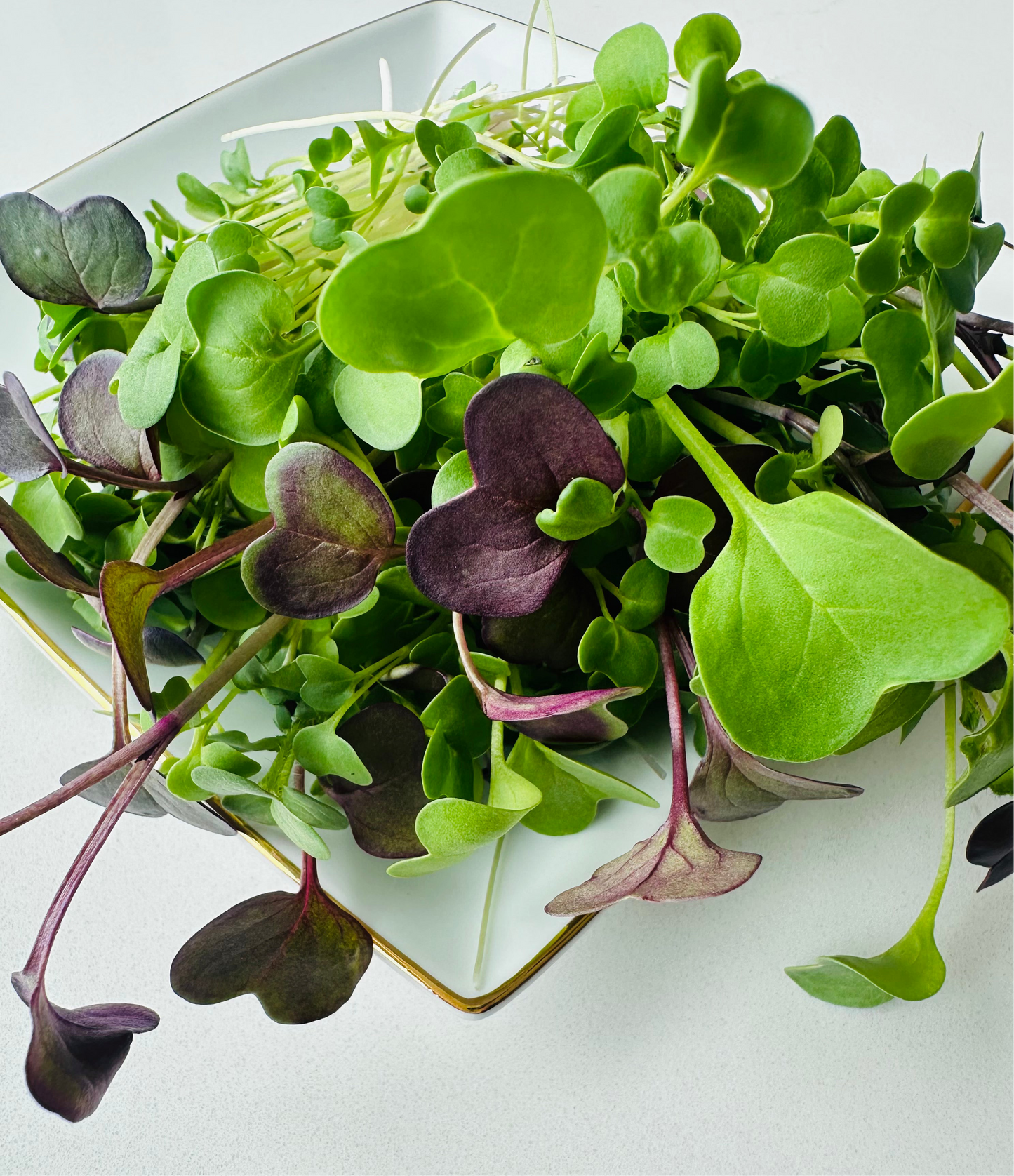 Salad Mix
