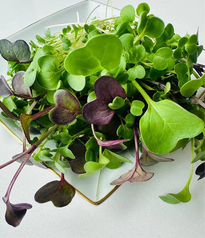 Salad Mix
