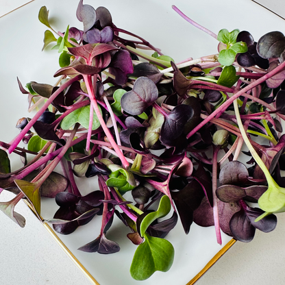 Micro Radish