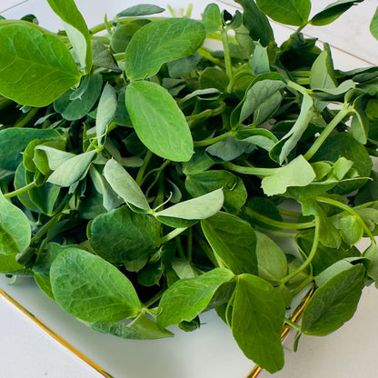 Pea shoots