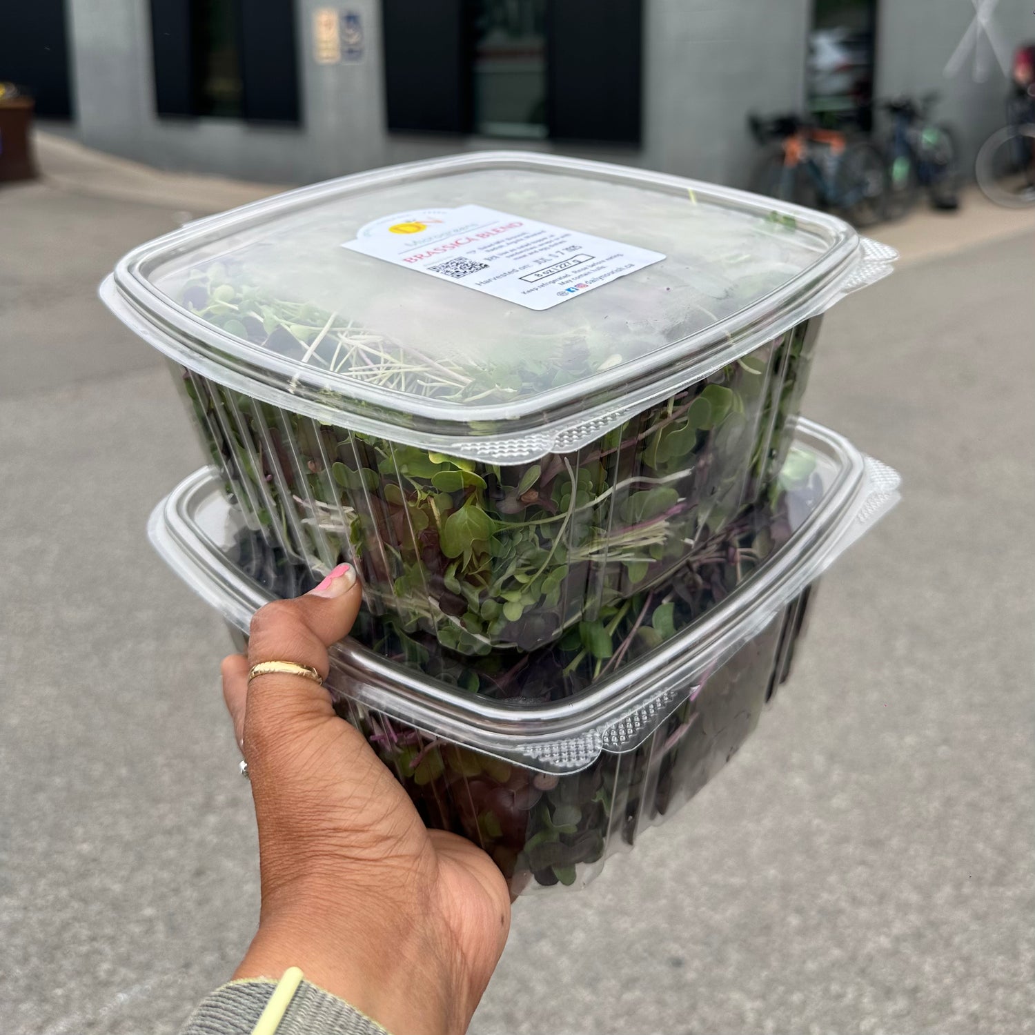 Hand holding two containers of microgreens with a blurred background
