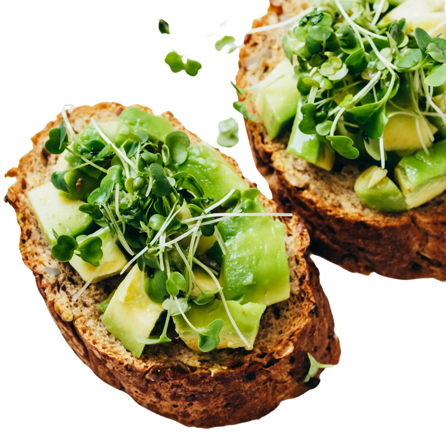 Micro Broccoli