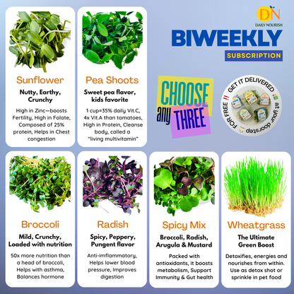 Bi-Weekly TRIO Plan