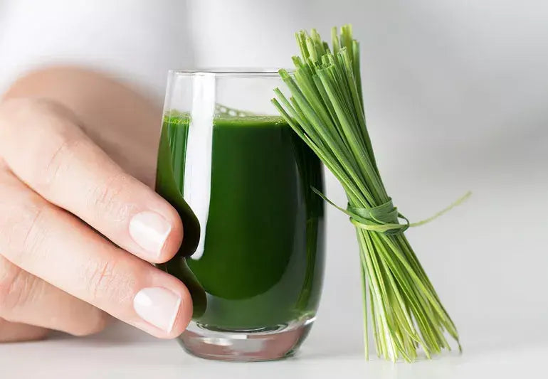 Wheatgrass